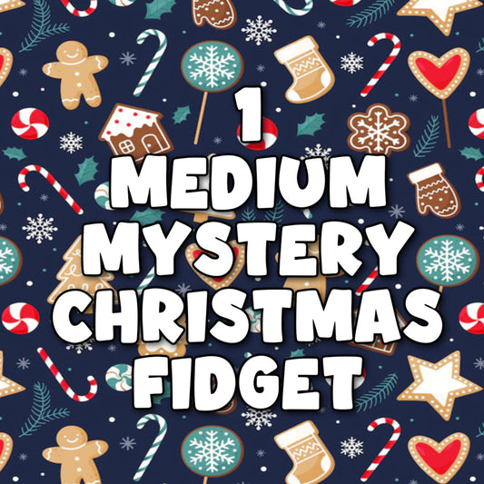1 Medium Mystery Christmas Fidget